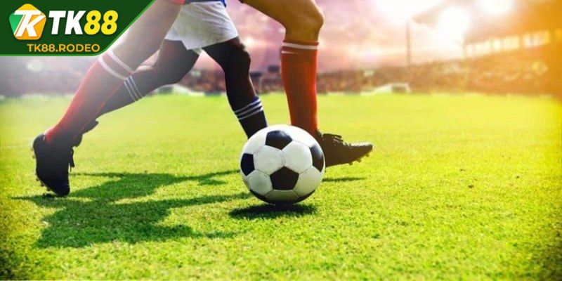 Kèo Nhà Cái TK88 - Trải Nghiệm Soi Chuẩn Xác Và Uy Tín Nhất 3 Trải nghiệm đặt cược châu Âu đơn giản