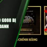 Cảnh Báo Go88 Bị Mạo Danh – Hướng Dẫn Nhận Biết Chính Xác